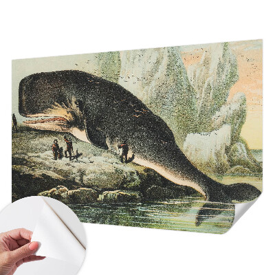 Fotótapéta lányoknak Tengeri gigantizmus
