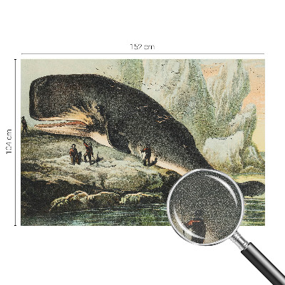 Fotótapéta lányoknak Tengeri gigantizmus