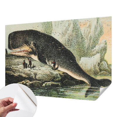 Fotótapéta lányoknak Tengeri gigantizmus