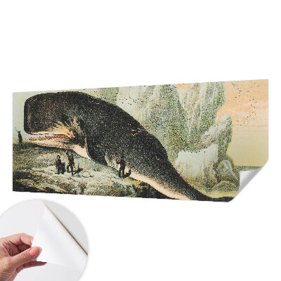 Fotótapéta lányoknak Tengeri gigantizmus
