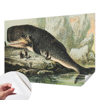 Fotótapéta lányoknak Tengeri gigantizmus