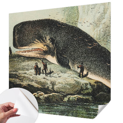Fotótapéta lányoknak Tengeri gigantizmus