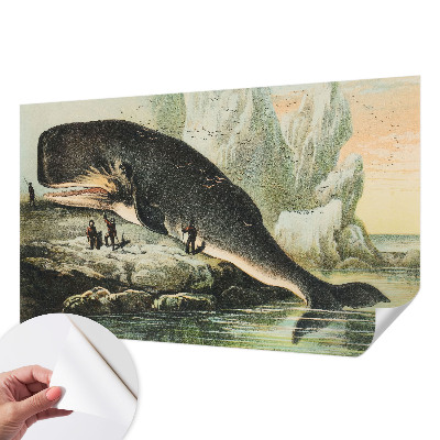 Fotótapéta lányoknak Tengeri gigantizmus