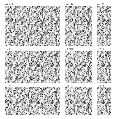 Színes mintás ablakfólia Trópusi levelek