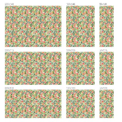 Öntapadós belátásgátló fólia Gyümölcsminta