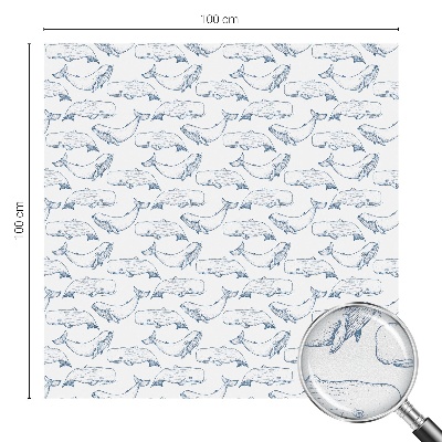 Öntapadós belátásgátló fólia Tengeri inspirációk