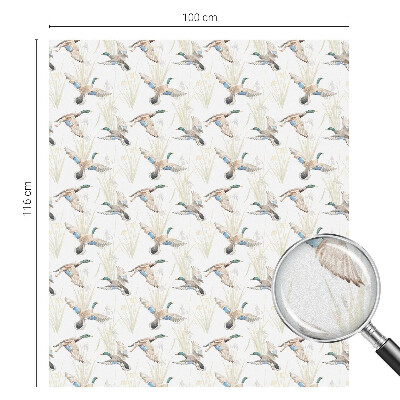 Öntapadós belátásgátló fólia Madarak természet