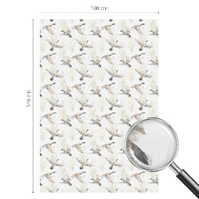 Öntapadós belátásgátló fólia Madarak természet