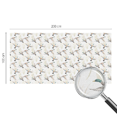 Öntapadós belátásgátló fólia Madarak természet