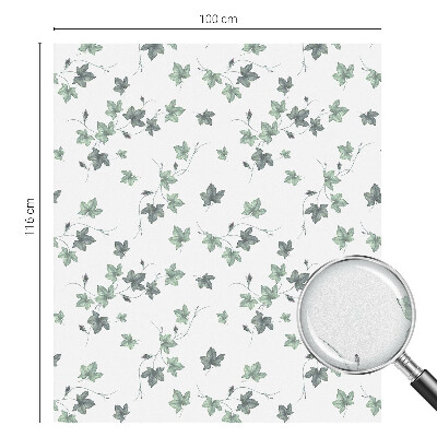 Színes mintás ablakfólia Zöld szőlő