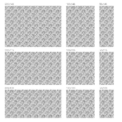 Öntapadós belátásgátló fólia Klasszikus portrék