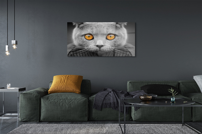 Akrilkép Gray brit macska