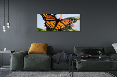 Akrilkép színes pillangó