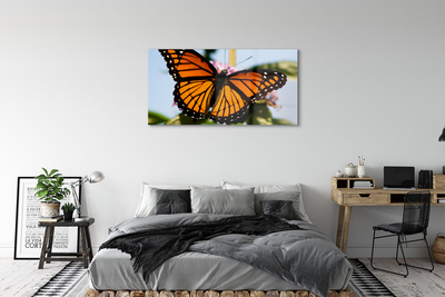 Akrilkép színes pillangó