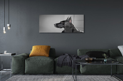 Akrilkép Fekete kutya