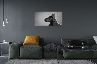 Akrilkép Fekete kutya