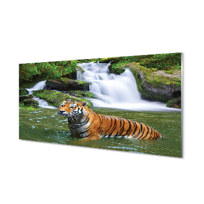 Akrilkép tigris vízesés