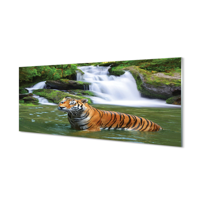 Akrilkép tigris vízesés