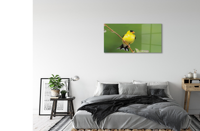 Akrilkép sárga papagáj