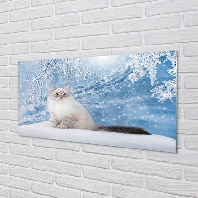Akrilkép macska télen