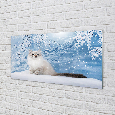 Akrilkép macska télen