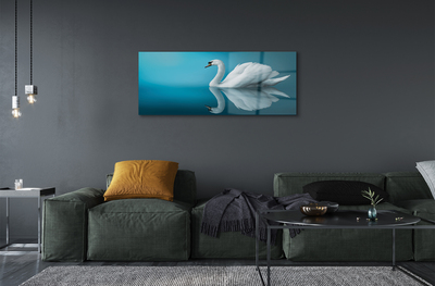 Akrilkép Swan vízben