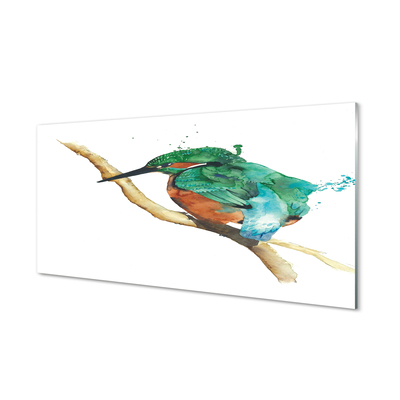 Akrilkép Színes festett papagáj