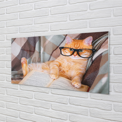 Akrilkép Az olvasó macska