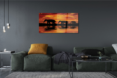 Akrilkép West Lake elefántok