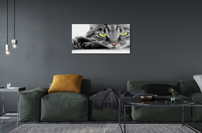 Akrilkép Szürke-fekete macska