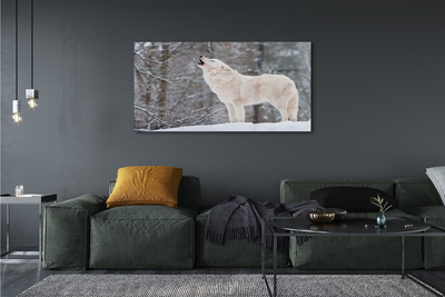 Akrilkép Wolf téli erdőben
