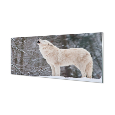 Akrilkép Wolf téli erdőben