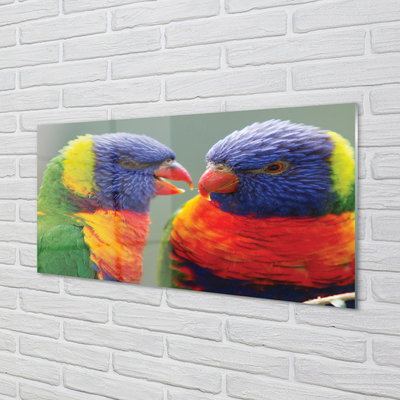 Akrilkép színes papagáj