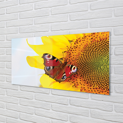 Akrilkép napraforgó pillangó