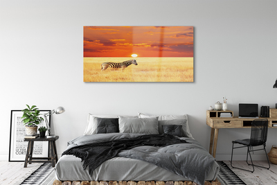 Akrilkép Zebra mező naplemente