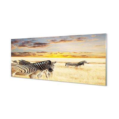 Akrilkép Zebrák mező naplemente