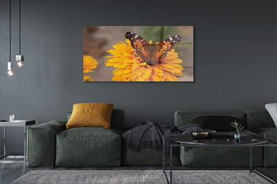 Akrilkép Színes pillangó virág