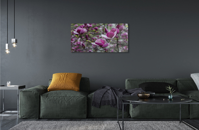 Akrilkép lila magnólia