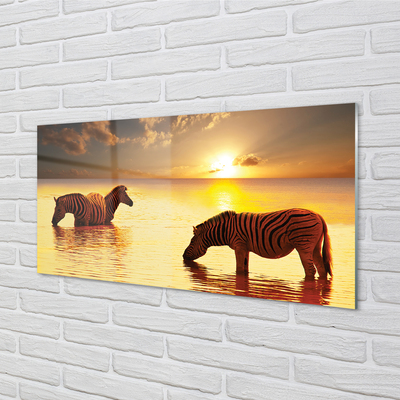 Akrilkép Zebrák víz naplemente