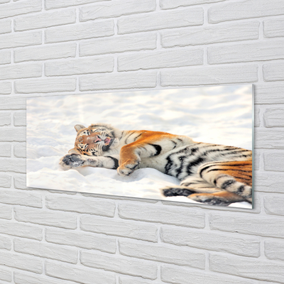 Akrilkép Tiger tél