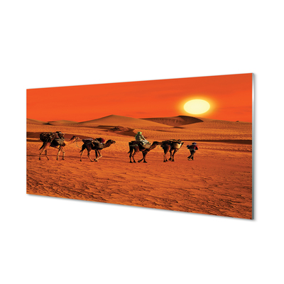 Akrilkép Tevék az emberek sivatagi nap ég