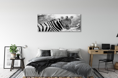 Akrilkép retro zebra