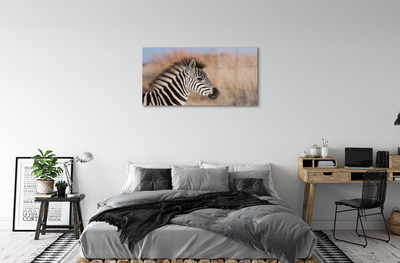 Akrilkép zebra