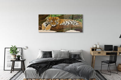 Akrilkép tigris fa