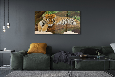 Akrilkép tigris fa