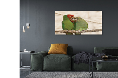 Akrilkép zöld papagájok