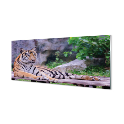 Akrilkép Tiger egy állatkertben