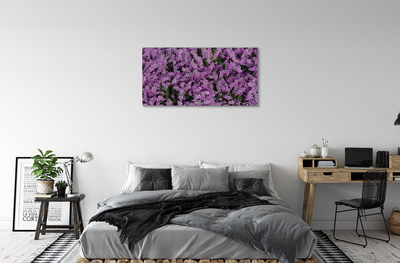 Canvas képek lila virágok