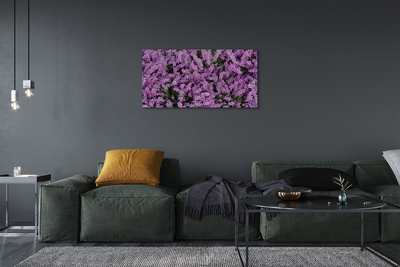 Canvas képek lila virágok