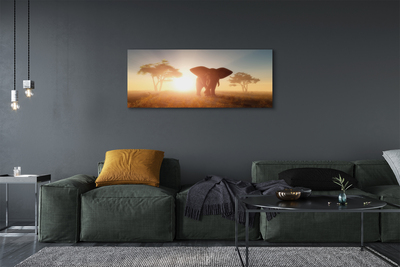 Canvas képek Elefánt fa keletre